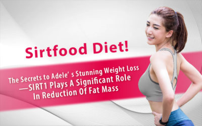 Sirtfood Diet! The Secrets to Adele’s Stunning Weight Loss  —SIRT1 Plays A Significant Role In Reduction Of Fat Mass
