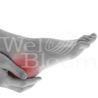 Anti-inflammatory and Soothing Supplements OEM/ODM Anti-inflammatory and Soothing Supplements OEM/ODM