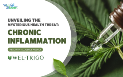 《Health Intelligence Agency》Cracking the Chronic Inflammation Code for a Healthier You｜WelBloom