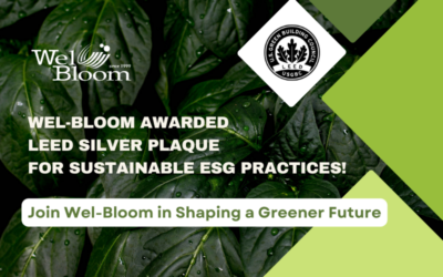 Join Wel-Bloom in Shaping a Greener Future: Awarded LEED Silver Plaque for Sustainable ESG Practices!