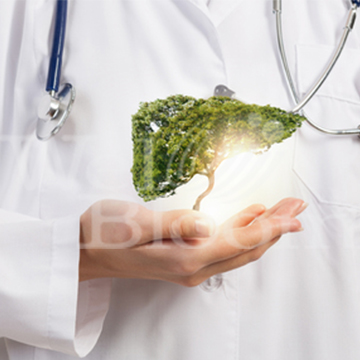 Liver Supplements OEM/ODM Liver Supplements OEM/ODM