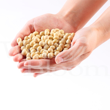 Soy Isoflavones Supplements OEM/ODM